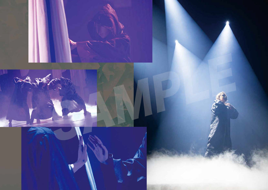 RIHO SAYASHI 1st LIVE TOUR 2022 Reflection ライブ写真集