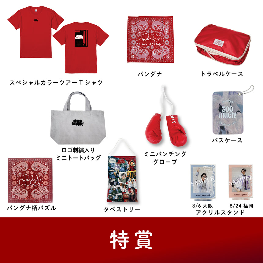 RIHO SAYASHI 5th Live Tour 2025 Too much! 目隠しガチャ